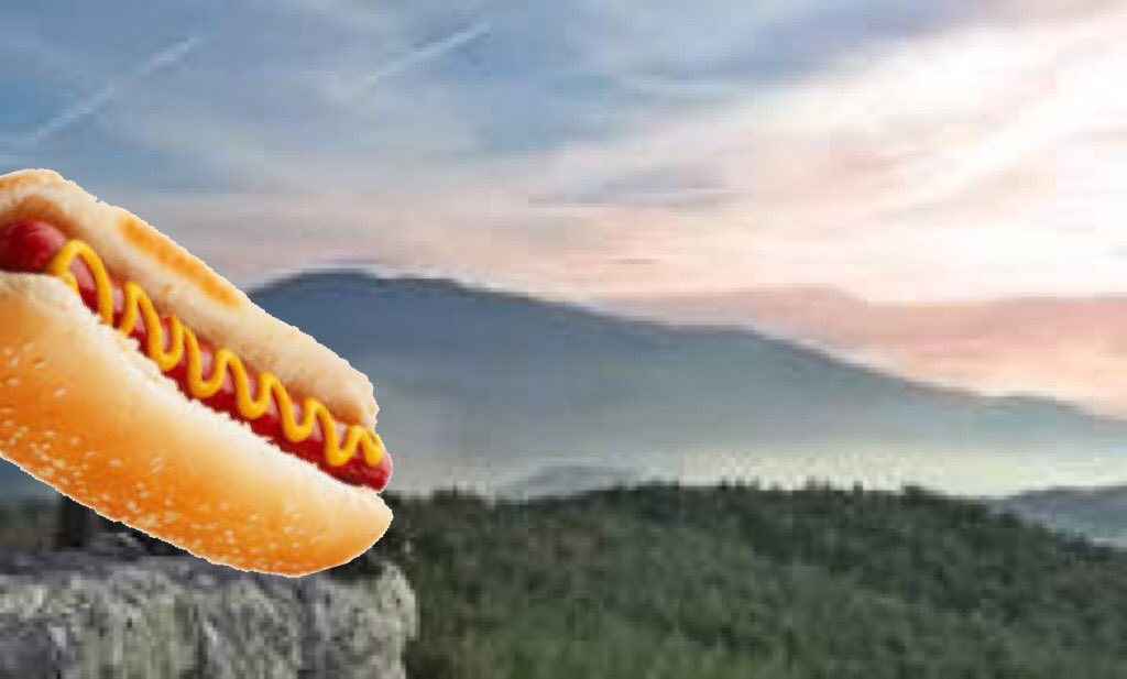 gossip_hotdog's tweet image. Follow your dreams