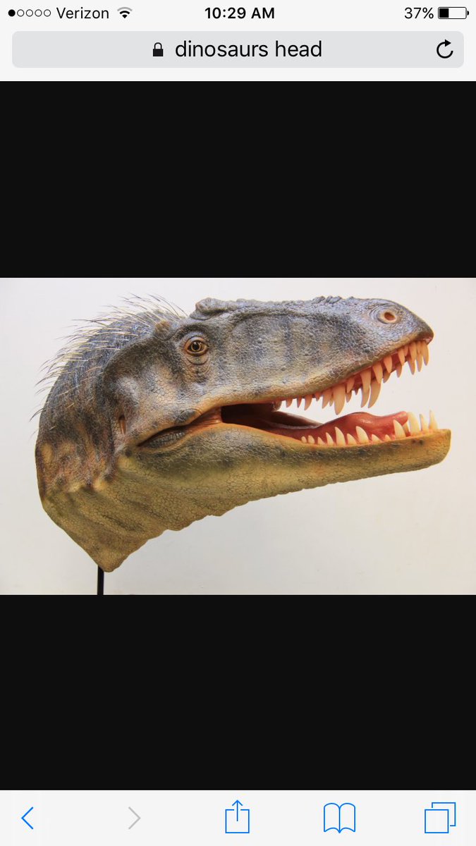 Caleb Rohr tweet media