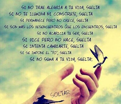 Auge de Vida tweet media