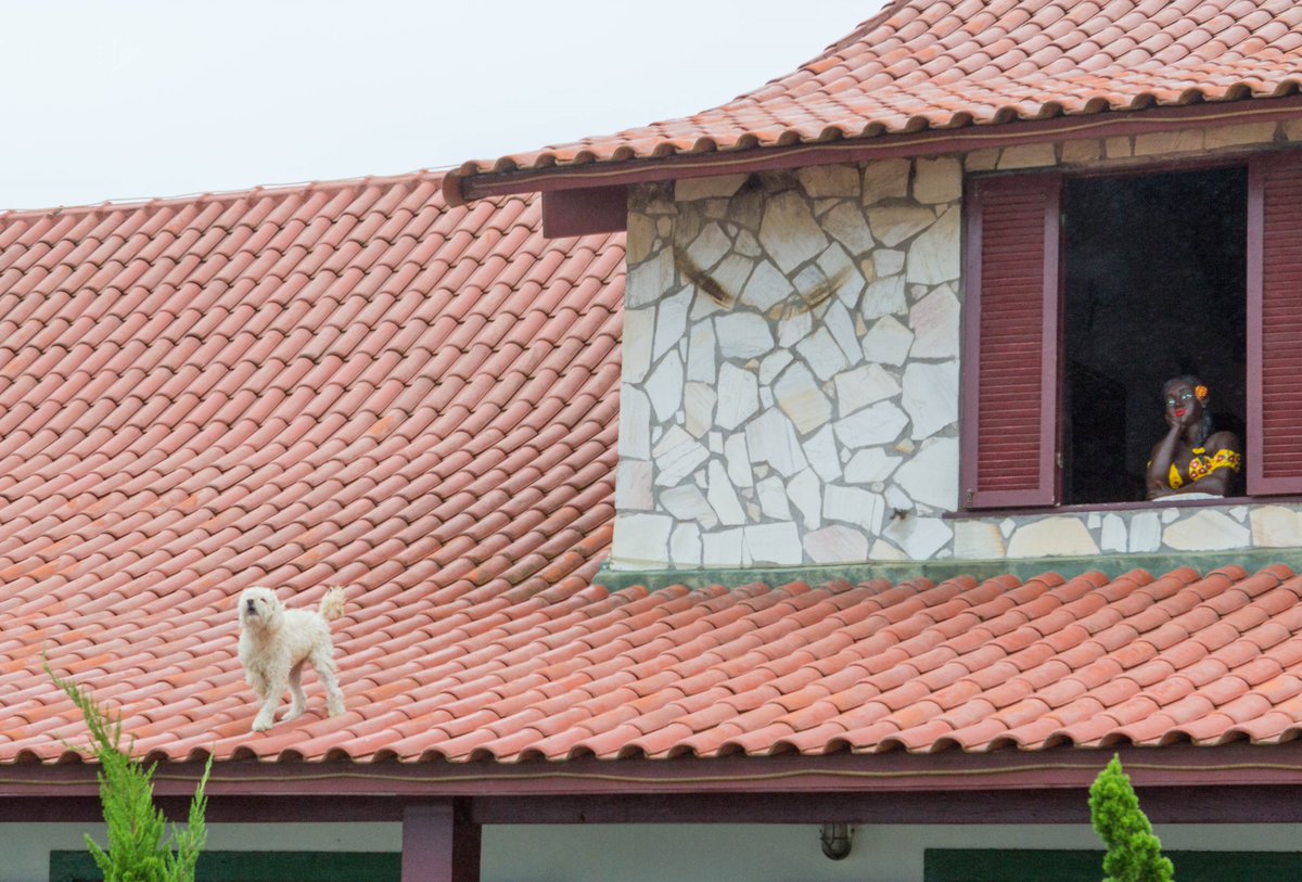 AltaRoofing's tweet photo. Tanning salon out of your budget? A good roof will do!  #woodwednesday #sandiegoroofers #rooftopsunbathing https://t.co/a07NrbLf3h