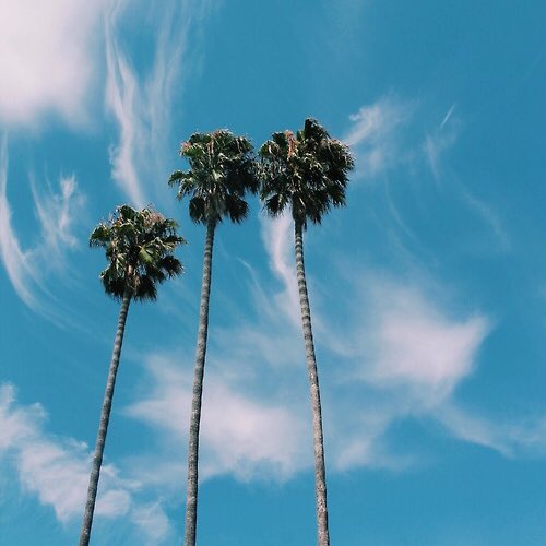 FindYourZeal's tweet photo. RT if you'd rather be here 🌴🌞 https://t.co/tXveNxecp7