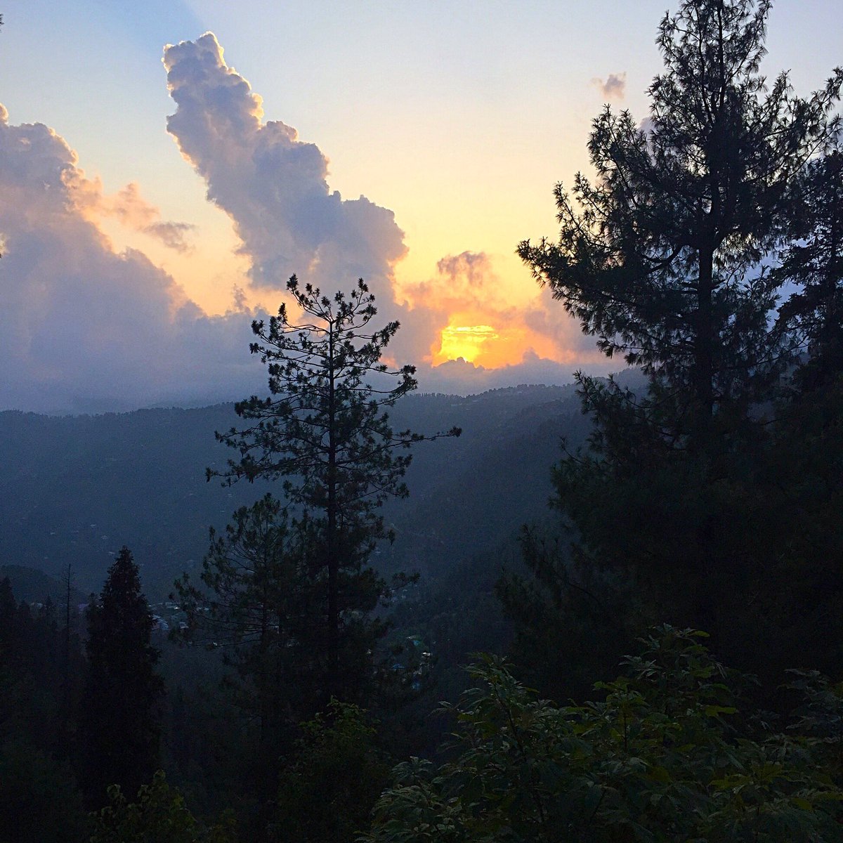 tanweerm's tweet photo. Sunset at Natia gali #travelbeautifulpakistan #natiagali #nathiagali #sunset #naturebeauty #naturalscene #greenhills https://t.co/uebgvGJMiY