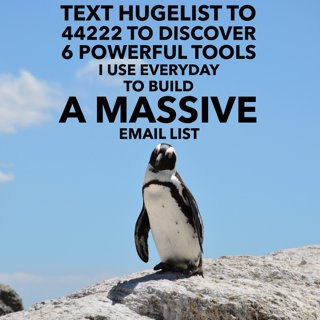 ShawnJames888's tweet photo. The only 6 tools you need to build a massive email list #digitalmarketing https://t.co/iJCI523WwM
