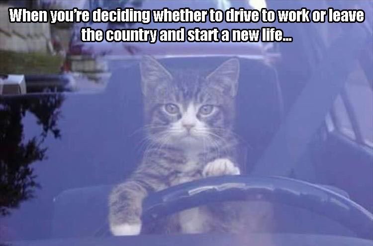 _brookemarieb's tweet image. 