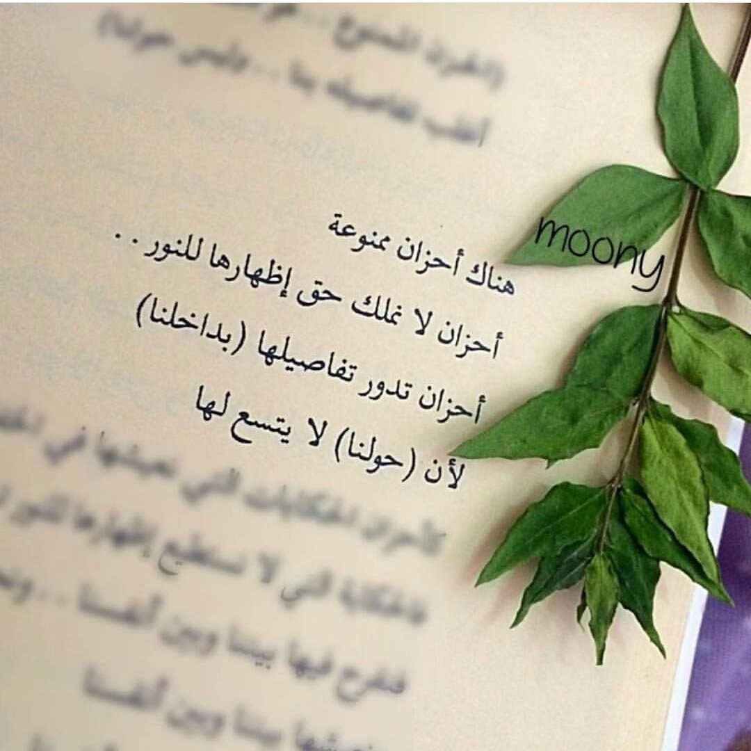 Rusul Abdul Zahra (@rusulz) on Twitter photo 