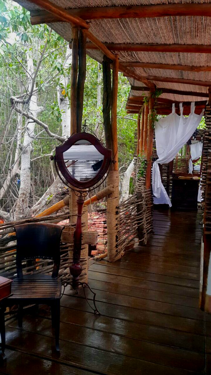 Ardilena's tweet photo. Recibe un masaje con los relajantes sonidos de la naturaleza,apreciar como los rayos del sol hacen brillar el dia. https://t.co/A2KNIetEbv
