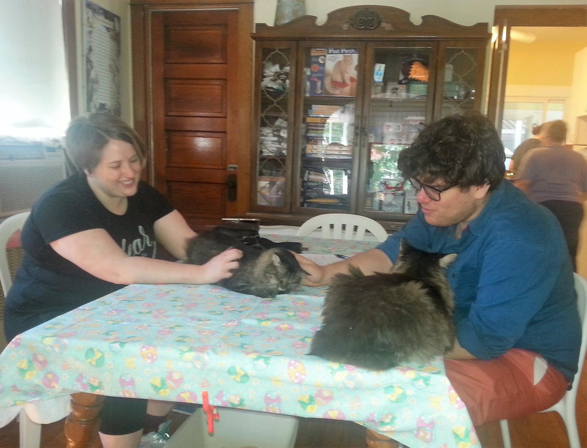 Congrats to our sweet little Wendy, off to her forever home!! #CatRescue #CatsOfTwitter #AdoptDontShop #rescue #meow