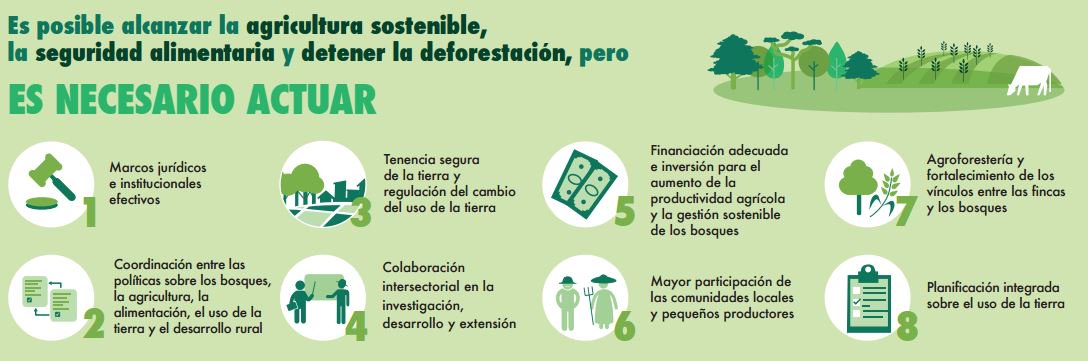 FAOMesoamerica's tweet photo. Es necesario actuar para detener la #deforestación. 🌲 #COFO23 #SOFO23 https://t.co/ryiQotd2IT