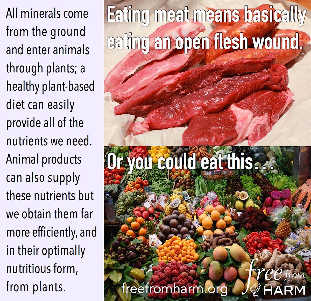 'Omnivorous' does not mean MUST eat both plants and animals; it means ABLE to digest both. #LiveVegan #FreeFromHarm