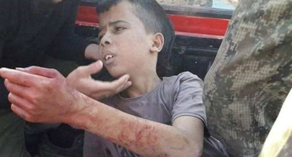 Palestine Vivra tweet media