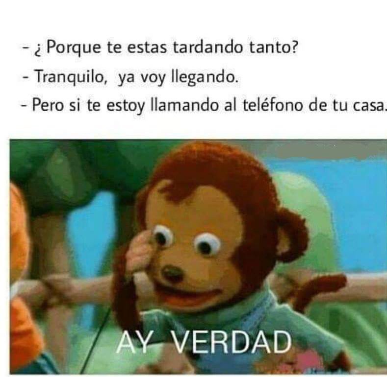 LaCascara.TV tweet media