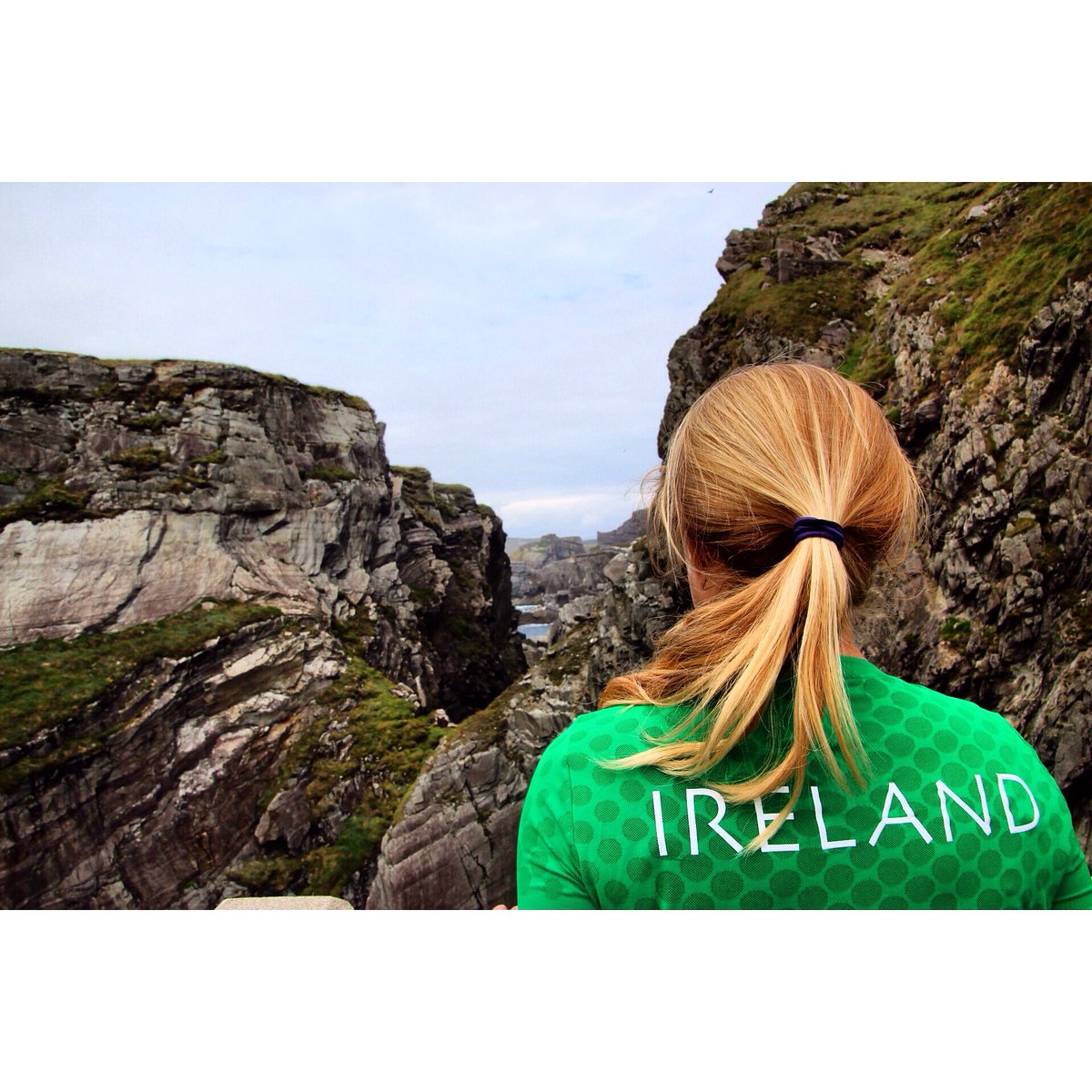 Andrea Brewster tweet media