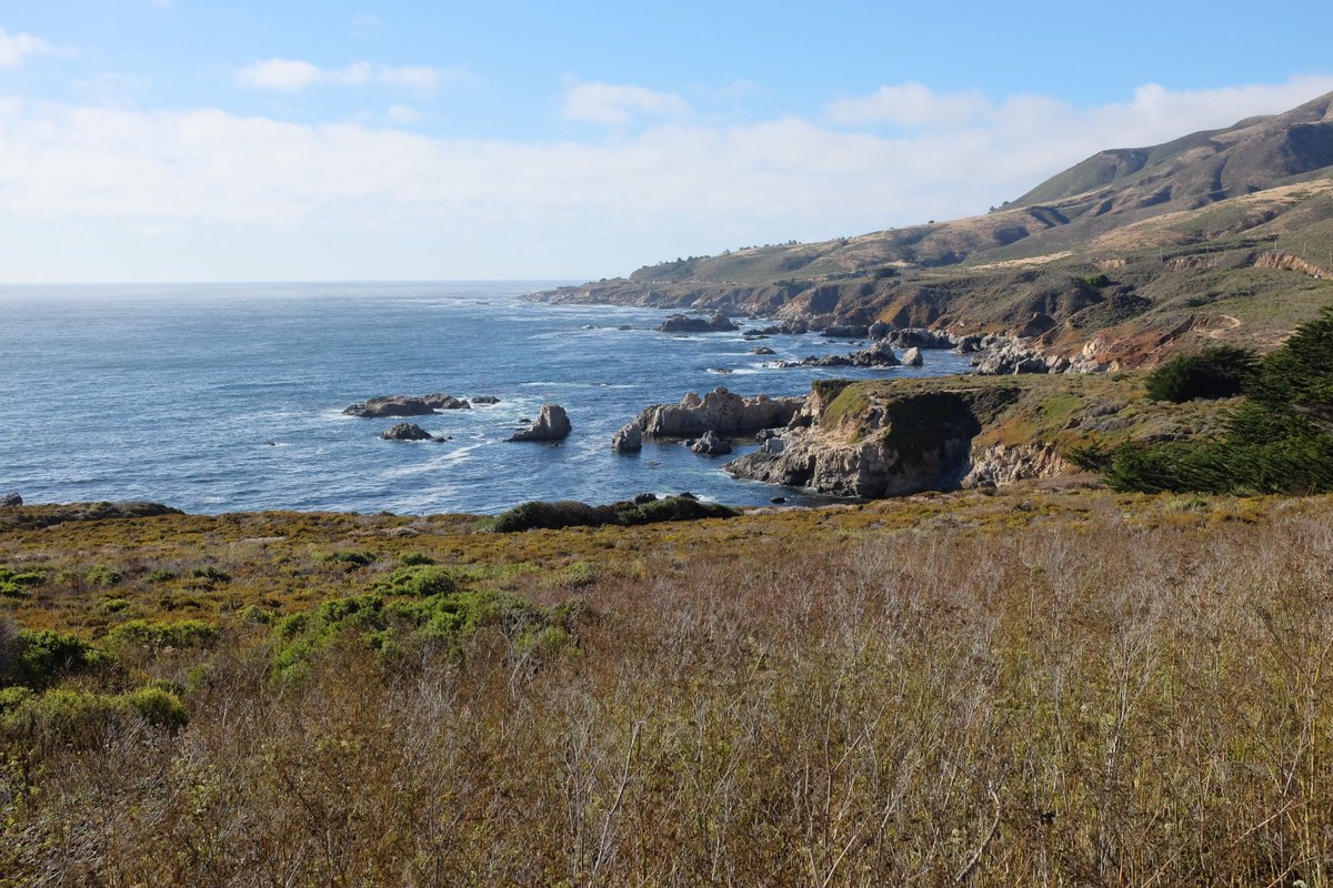 10/11 Central California coast (highway 1), we saw a lot of sea otters at Morro Bay