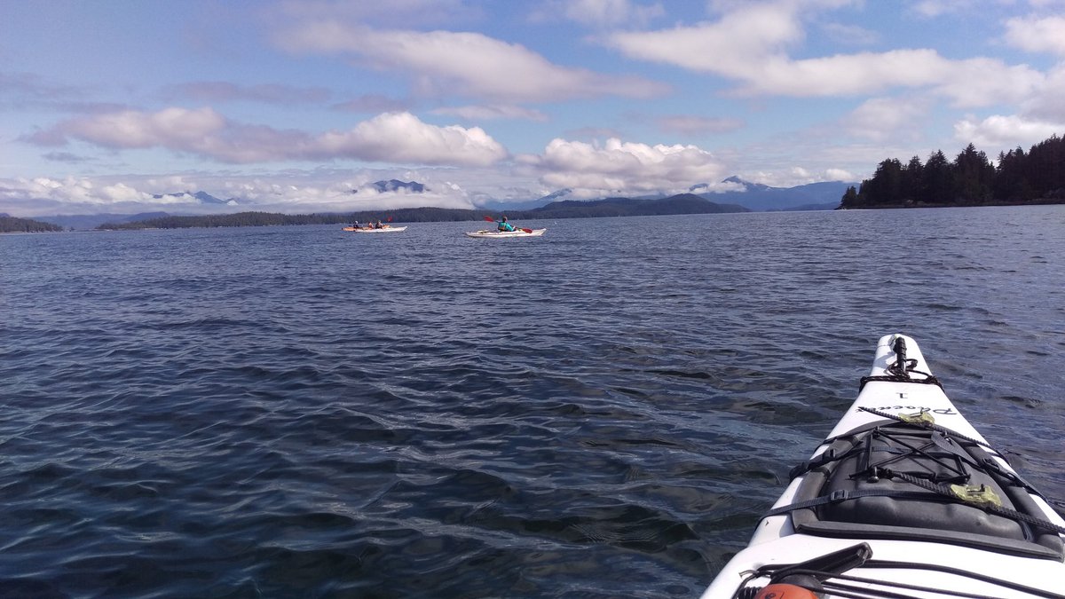 mjfoberg's tweet image. Kayaking! Sadly no whales but some gorgeous weather. #Bamfieldmsc #inpursuitofthewhale