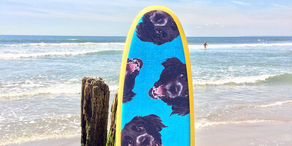 mixmaniacs's tweet photo. A #MixMania surfboard? Duh. Want a chance at your dog's face on swag? Rules: https://t.co/DtIO2CT5bE  #sweepstakes https://t.co/feAmSXIK9L