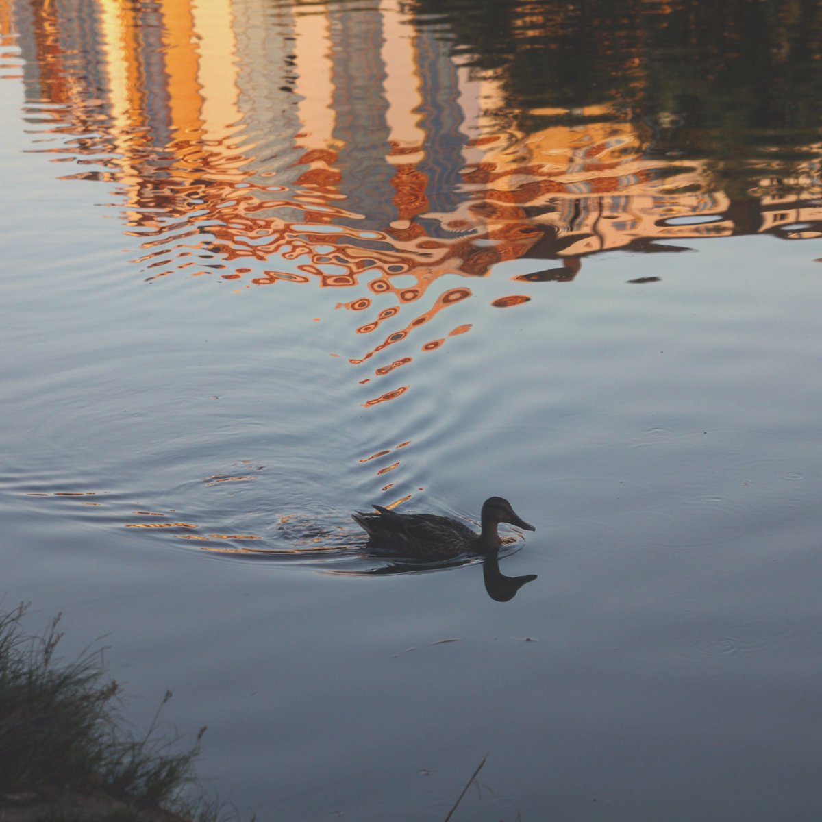 Магнитик из Белгорода