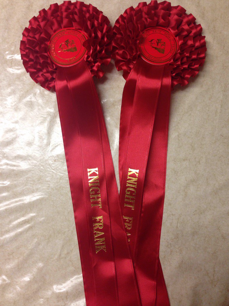 Clever boys at <a href="/dauntseyparkht/">Dauntsey Park HT</a> today doing a one-two in the ON #superstarhorses #winnerwinnerchickendinner