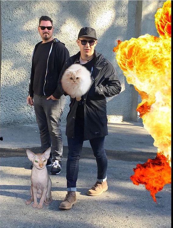 tour_cats's tweet photo. https://t.co/RvCFRs9T7K Meow from the villains lair. #bondvillians #bondcats #007 #catagent  #skinnyjeans #pyro https://t.co/OV0yEeWMTw
