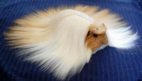 When you're having a good hair day