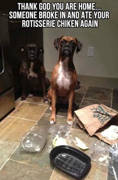 SnappleDj's tweet image. 😅omg lmao