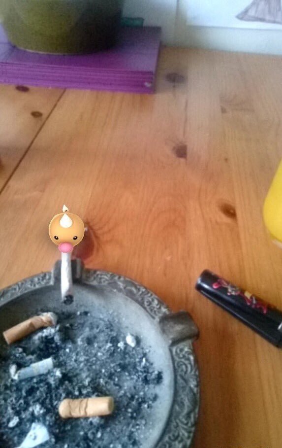 HighCharizard's tweet image. SMOKE WEEDLE EVERYDAY