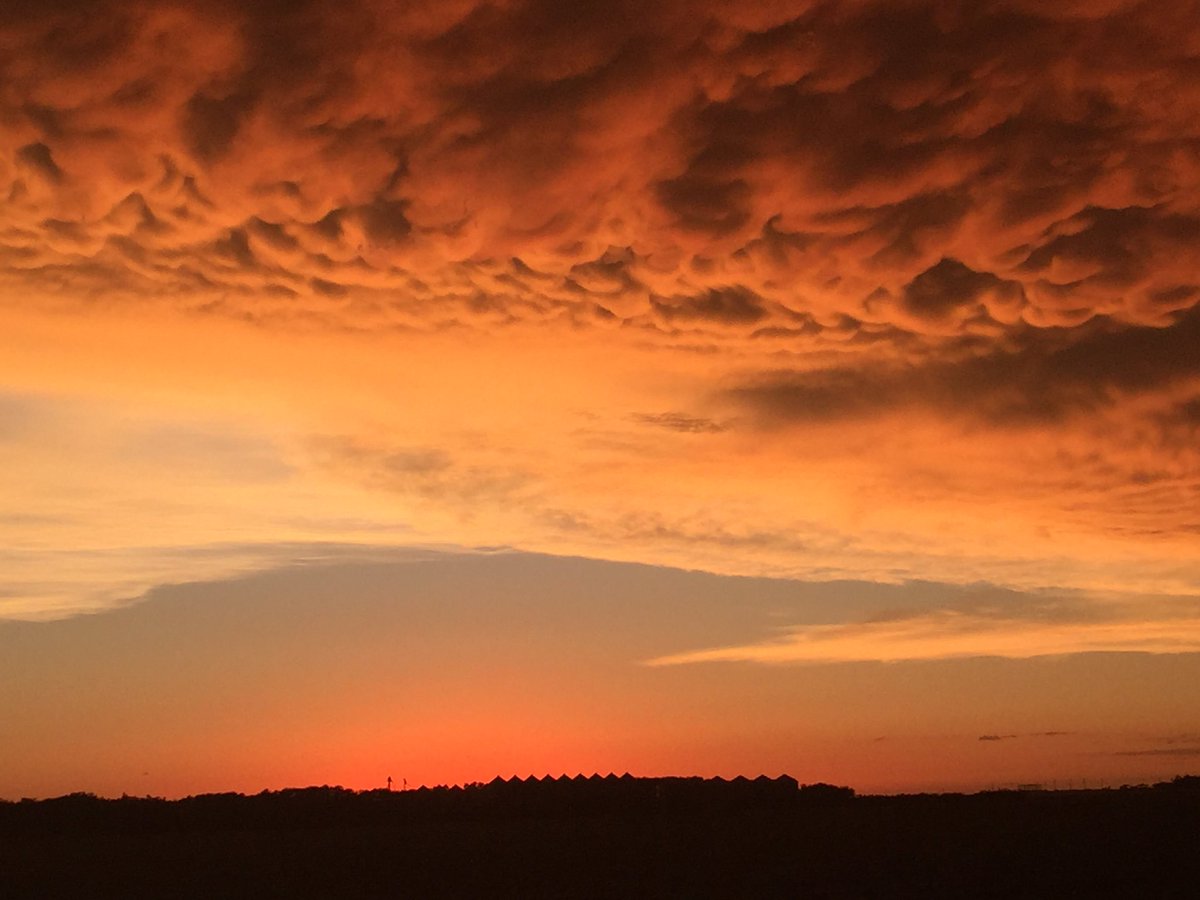 Joel Bunkowsky (@jbnavonod) on Twitter photo 