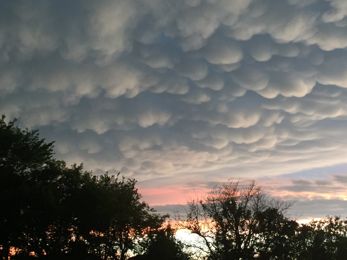 Joel Bunkowsky (@jbnavonod) on Twitter photo 