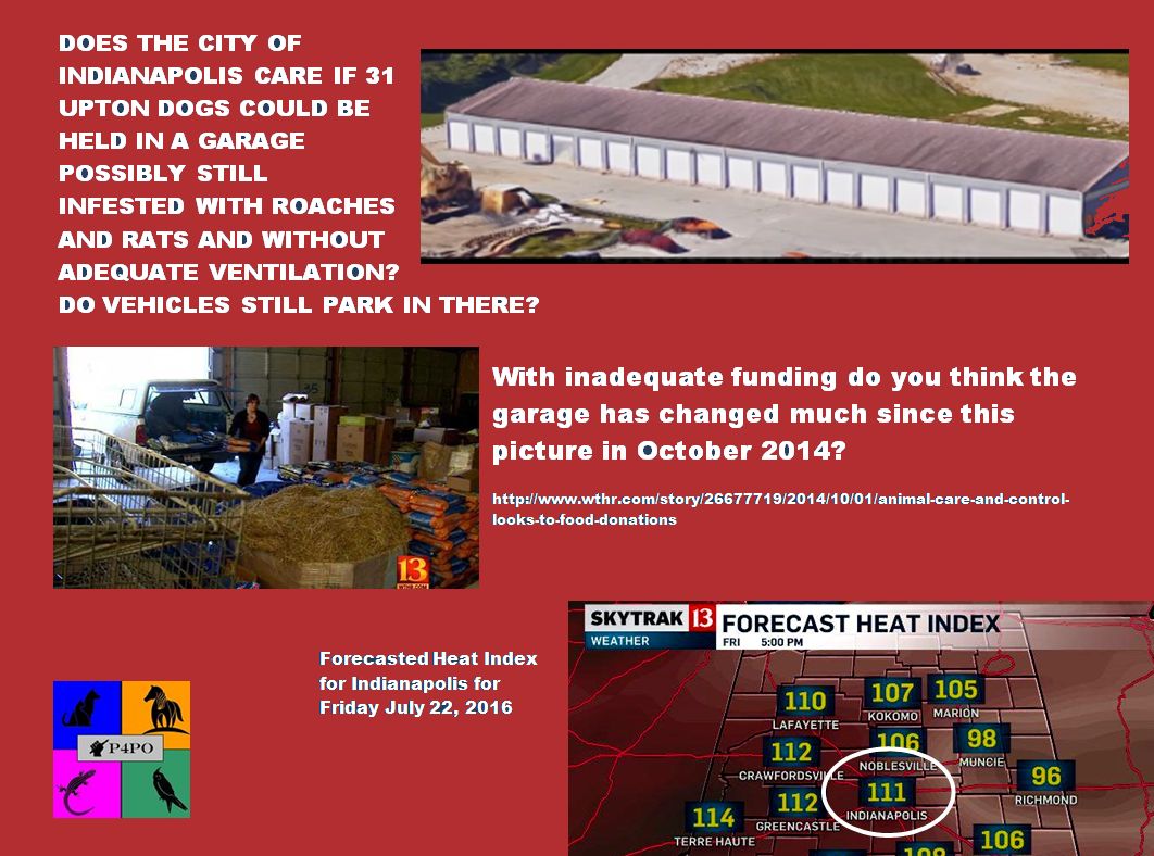 4PetOwnership's tweet photo. .@mikepence .@ProtectHarvest
#StandwithUpton
#WhyIndyWhy
#ReturnUptonsdogs
Why is this okay? https://t.co/jQraap9XfM