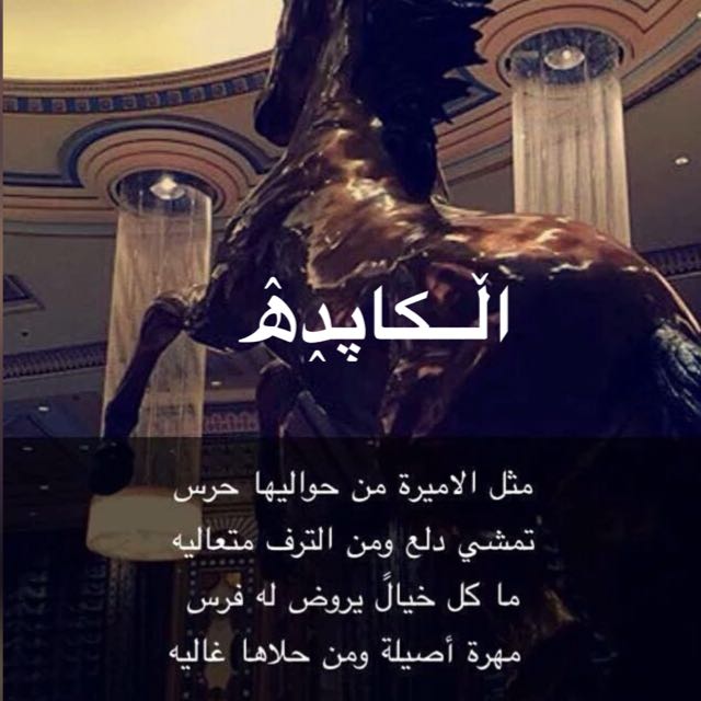 بنت مشيب  (@aladseass927) on Twitter photo 