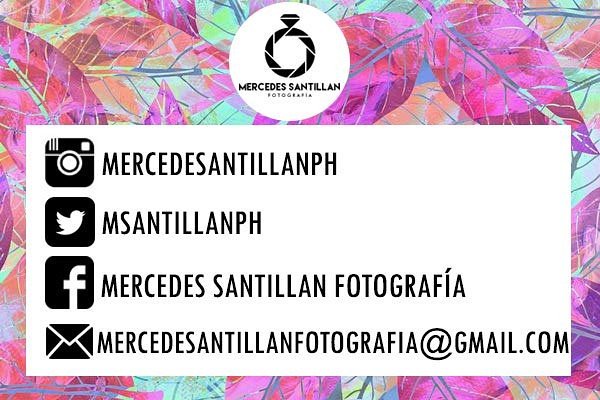 MercedesSantillan PH tweet media