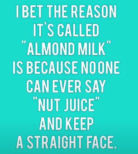 light_missy's tweet photo. #almondmilk #almonds #ihopeiwould https://t.co/0gtNZlmol1