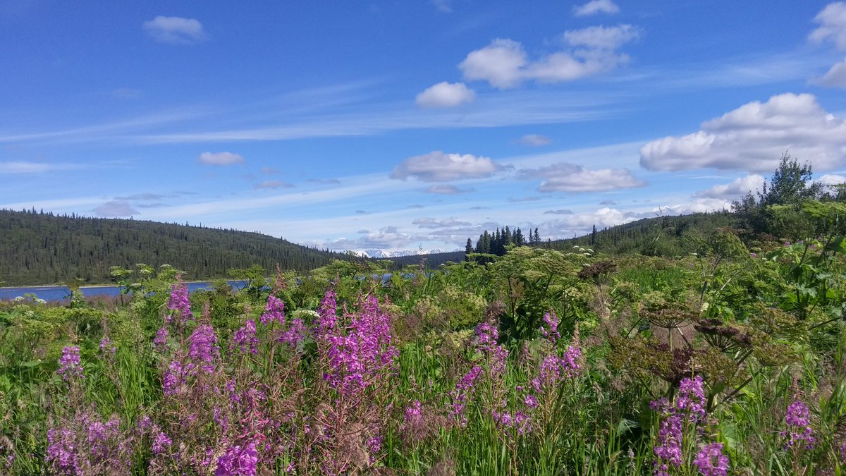 Pretty pretty good. Heading back to Anchorage, gonna sit in on bluegrass night at Tap Root for a song or two tonite!