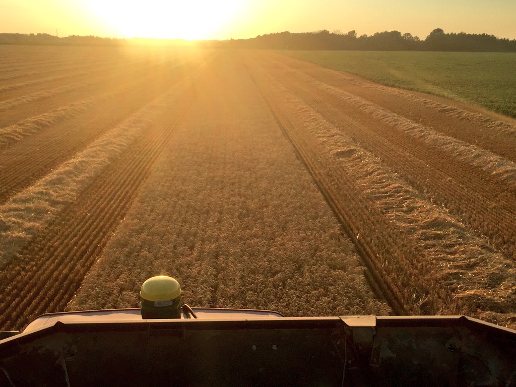 Dungannon_Dan's tweet photo. Red combine, green auto steer. #worksgood👍 #wheatharvest16 https://t.co/WGqdyCd8ZK