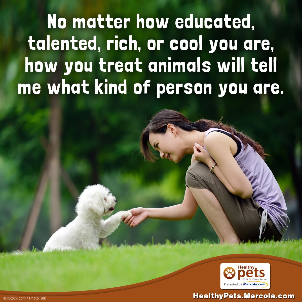 Dr. Karen Becker on Twitter: Dr. Karen Becker on Twitter: