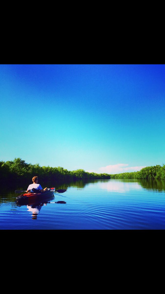 A day kayaking on the Everglades 🚣🏼☀️