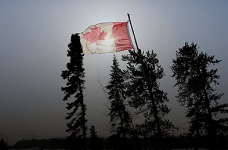 El Financiero Uni tweet media