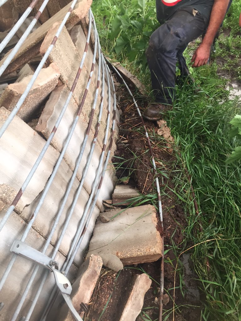 Arnold Borstlap tweet media