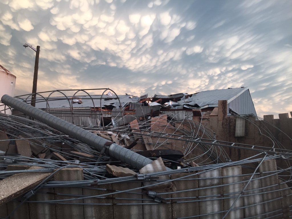 Arnold Borstlap tweet media