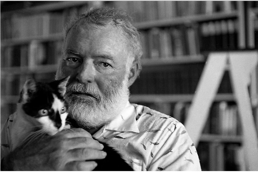 "Ai gatti riesce senza fatica ciò che resta negato all'uomo: attraversare la vita senza fare rumore". #Hemingway