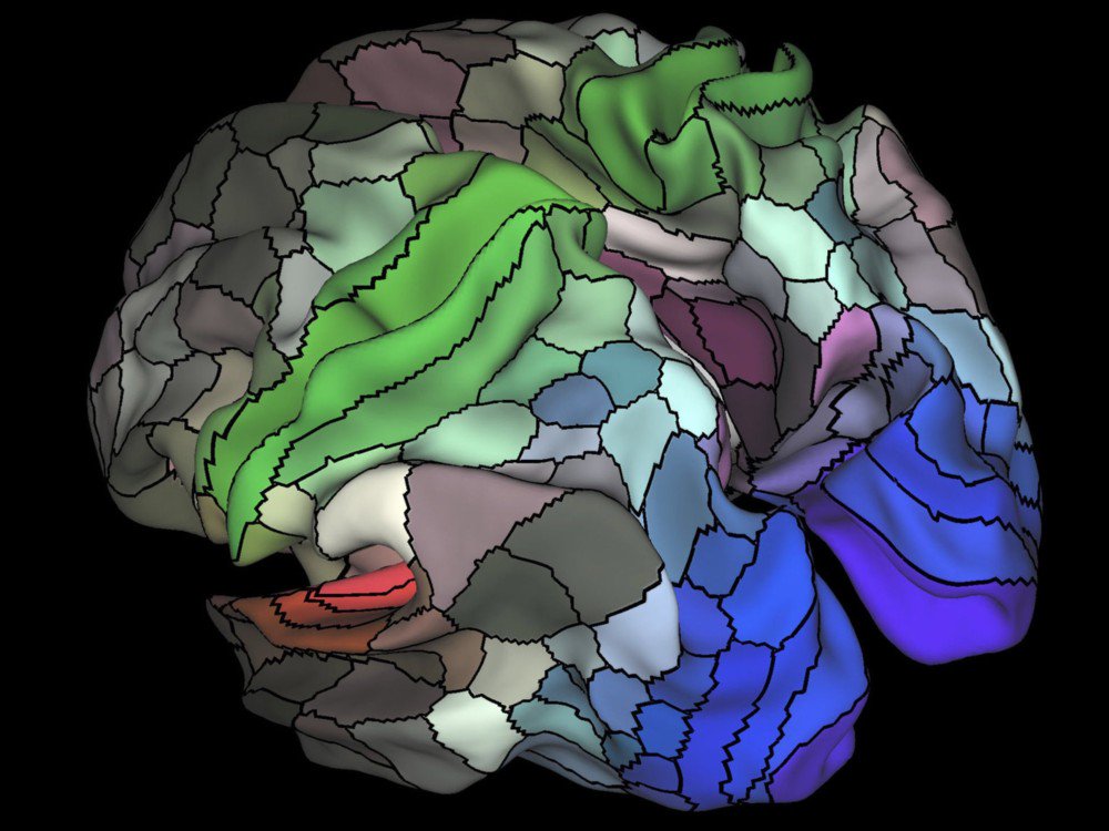 muyinteresante's tweet photo. Un nuevo mapa identifica zonas desconocidas del cerebro. Todos los detalles, aquí: 
https://t.co/ZgASx91yTY https://t.co/8dlXPhkZgO