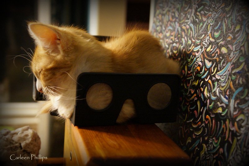 SoNPhotography's tweet photo. ....um, that's mine.
#3D #stereoscopy #OWLviewer @londonstereo https://t.co/VkgZBzFXgs