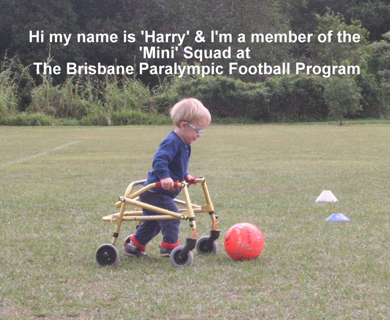 Don't be scared to share 'Harry' around he would love some new friends to play football with :)
