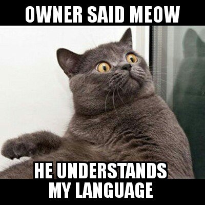 DemonEngineer's tweet image. 