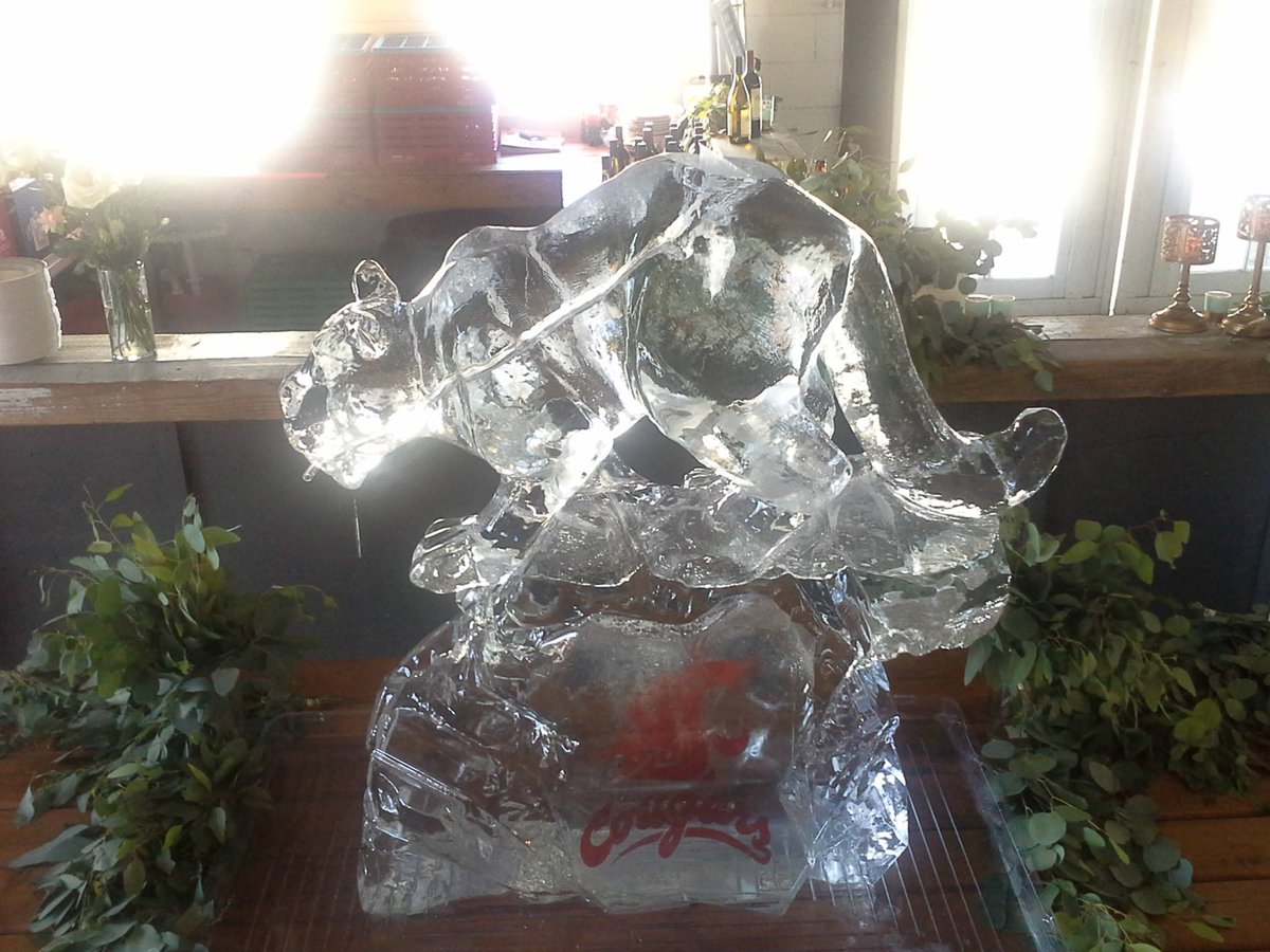 iceworksNW's tweet photo. WSU Cougar ice luge for Bates wedding. #icesculpture #WSU #GoCougs #iceluge https://t.co/Q65EA8BZnY
