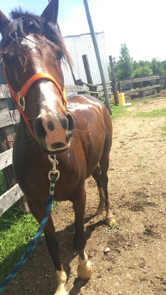 _schaeff's tweet image. So happy she's mine 😍