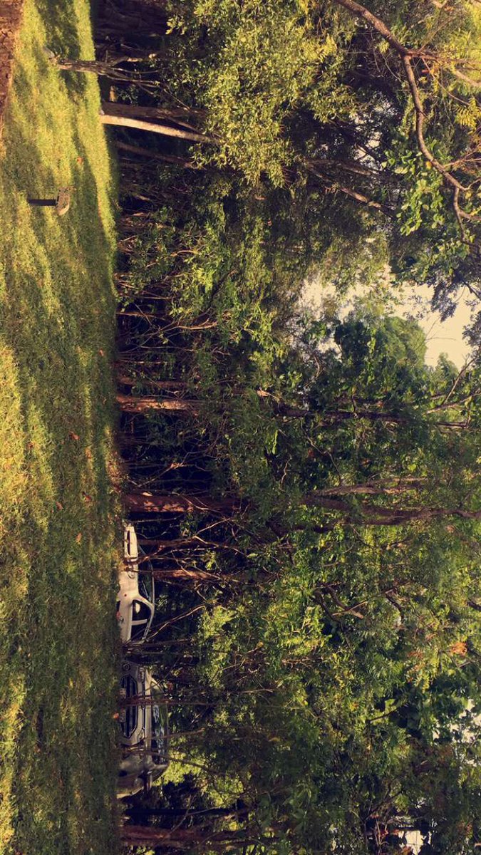 _thiqah's tweet photo. رحلتي لسريلانكا 🇱🇰 ، علئ #سنابي 😍

#سناب #سناب_شات #رحله #مسافرون_العرب  #سناب_سفر #سفر #سريلانكا https://t.co/KGS2vRbkm0