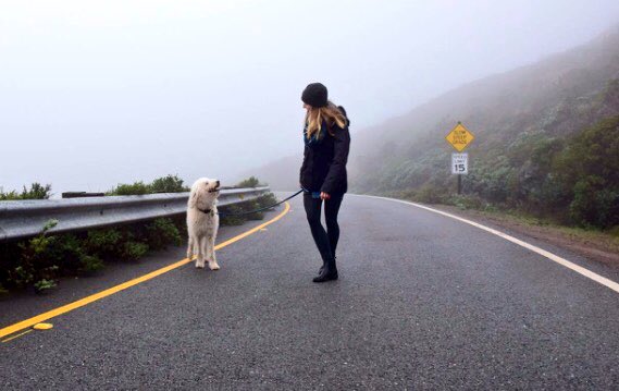Good morning!😊

#pfoteundhuf #dogsoftwitter #thursday #dog #DogLovers #dogloversdays #hund #bestfriends #happy #love