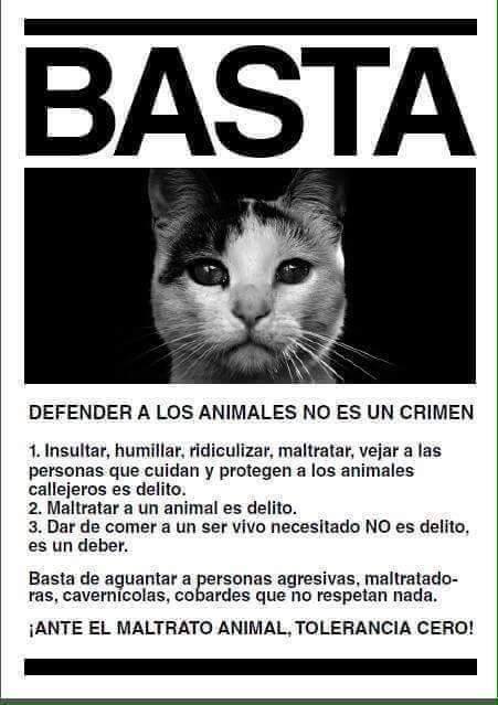 asofelinasvlc's tweet photo. Y quienes NO entienden o NO están de acuerdo en "perder" el tiempo en esto, les invitamos :
https://t.co/DtkCPN2xv1 https://t.co/tOoXIeWpoK
