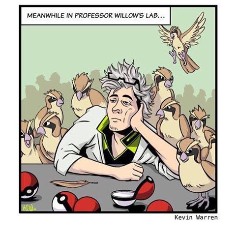 Pokémon GO - Amazing sketch of Professor Willow and Mew for  #ProfessorWillowWeek, Trainer. Hopefully, you found Mew as well! 🎨 by  Twitter user: @Theologicallyy