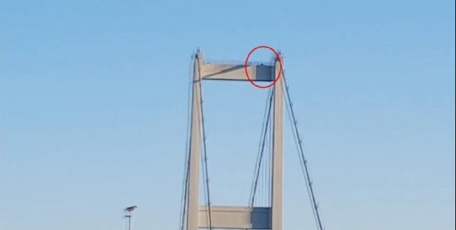 http://pbs.twimg.com/media/Cn41mFUWEAAPz8x.jpg